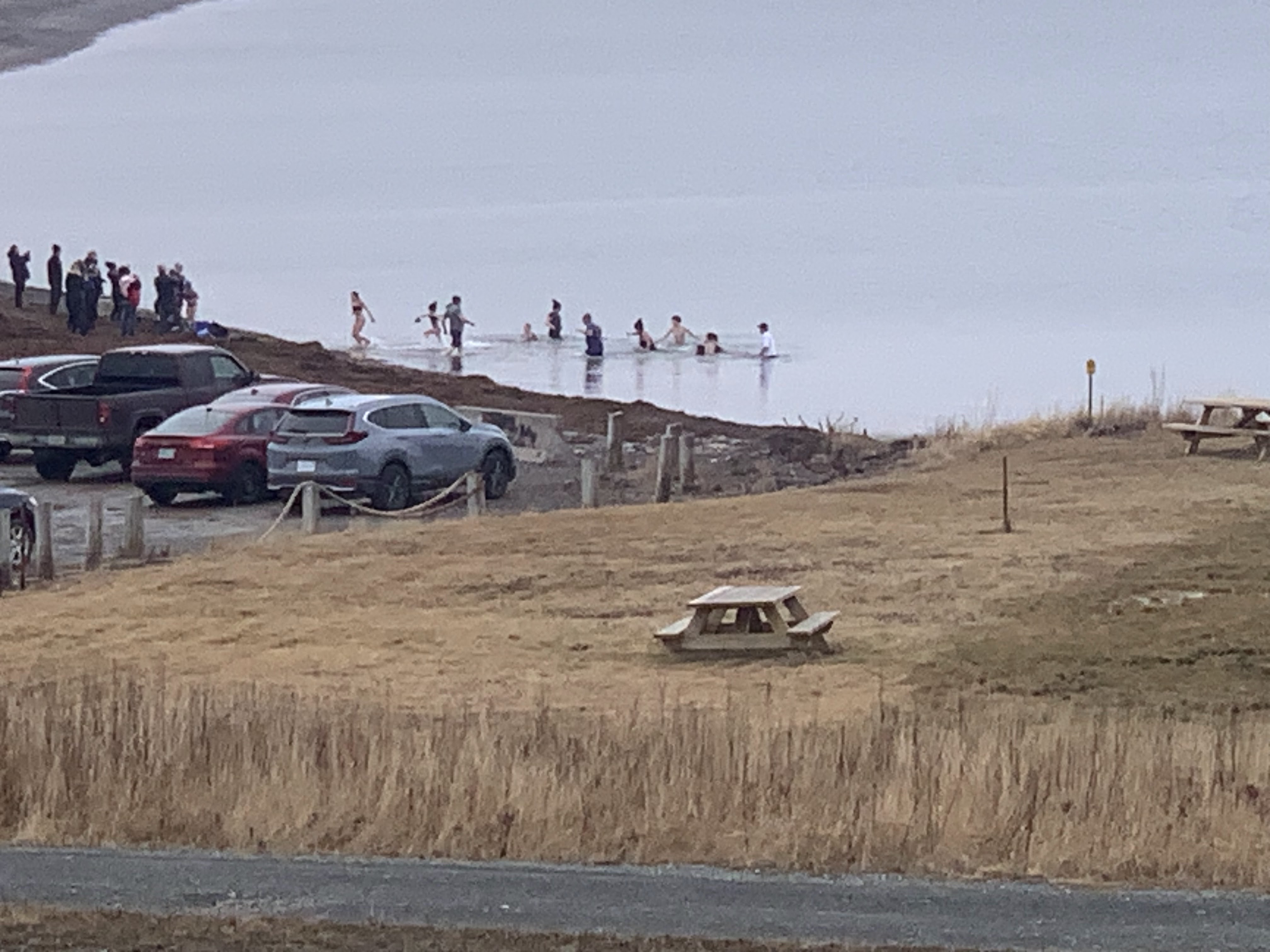 Beach New Years polar bear dip